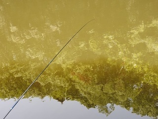 DSCN3018.JPG