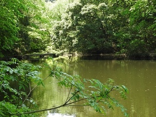DSCN3020.JPG
