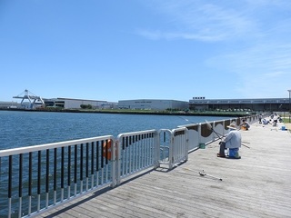 DSCN4736.jpg