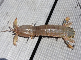 DSCN4739.jpg