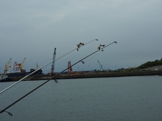 DSCN4801.jpg