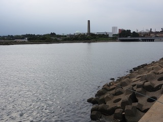 DSCN4803.jpg