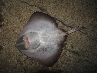 DSCN4828.jpg