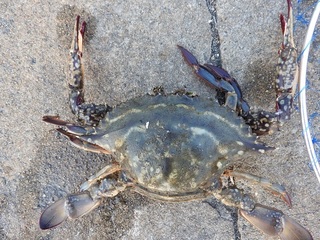 DSCN4906.jpg