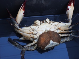 DSCN4908.jpg