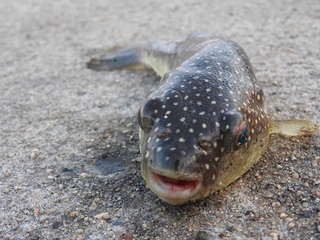 DSCN4918.jpg
