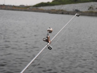 DSCN4920.jpg