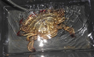 DSCN4928.jpg