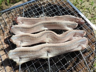 DSCN5413.jpg