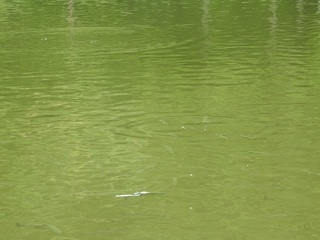 DSCN5479.jpg