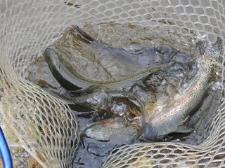 DSCN5497.jpg