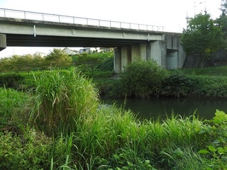 DSCN5516.jpg