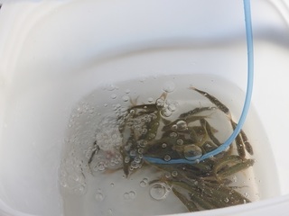 DSCN5521.jpg