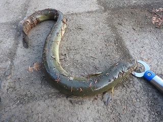 DSCN5523.jpg