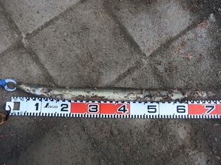 DSCN5524.jpg