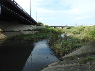 DSCN5662.jpg