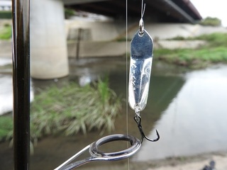 DSCN5682.jpg
