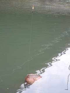 DSCN5689.jpg
