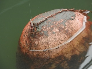 DSCN5690.jpg