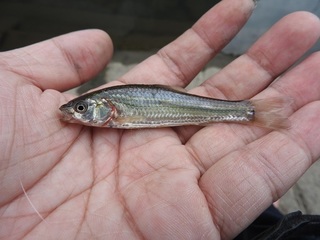 DSCN5691.jpg