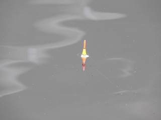 DSCN5696.jpg