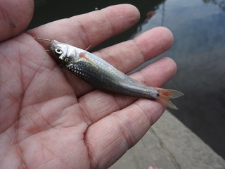 DSCN5698.jpg