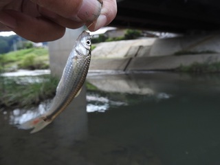 DSCN5699.jpg