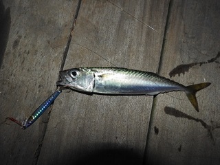 DSCN5959.jpg