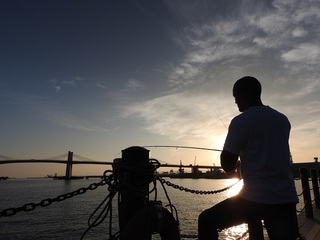 DSCN6221.jpg