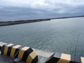 DSCN6412.jpg