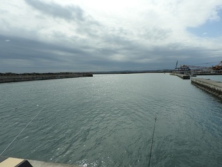 DSCN6413.jpg