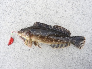 DSCN6420.jpg