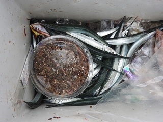 DSCN6436.jpg