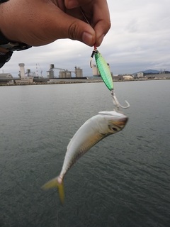DSCN6447.jpg
