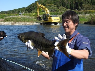 DSCN6537.jpg