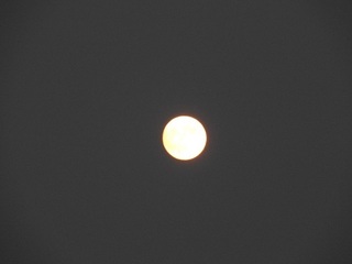 DSCN6637.jpg