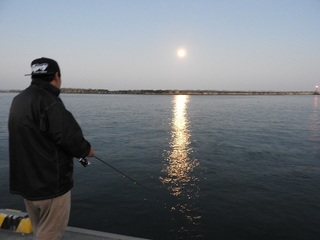 DSCN6638.jpg