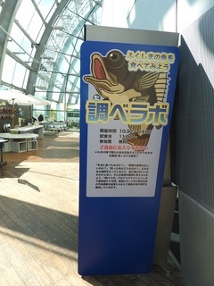 DSCN6669.jpg