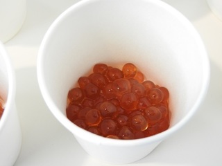 DSCN6681.jpg