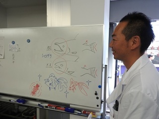 DSCN6687.jpg