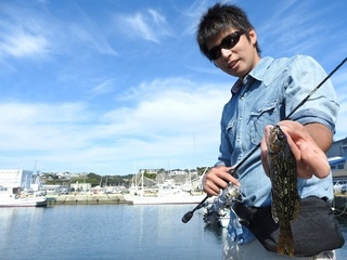 DSCN6706.jpg