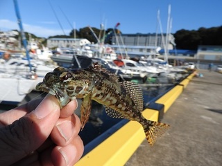 DSCN6709.jpg