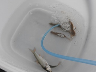 DSCN6767.jpg