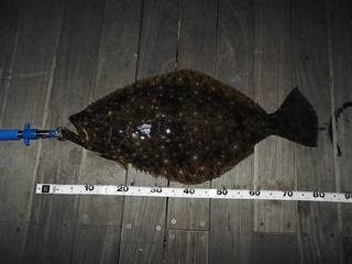 DSCN6775.jpg