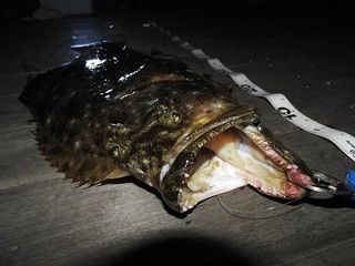 DSCN6783.jpg