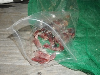 DSCN6788.jpg