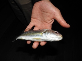 DSCN6795.jpg