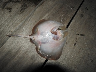 DSCN6812.jpg