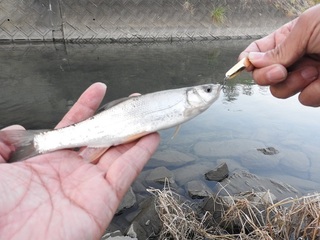 DSCN6896.jpg