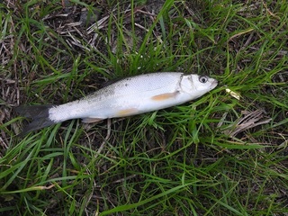 DSCN6897.jpg